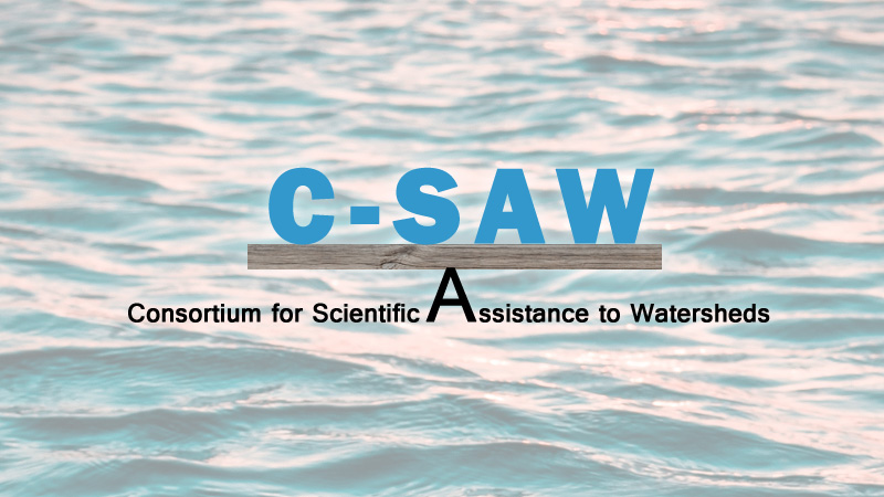 Consortium for Scientific Assistance To Watersheds logo